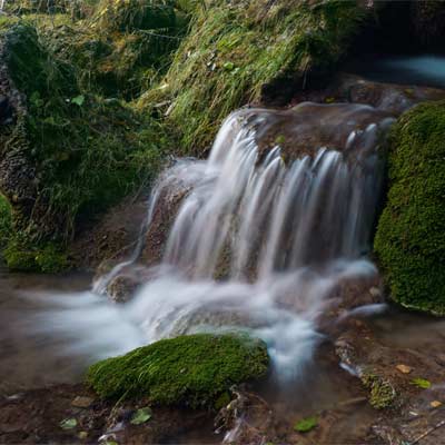 PARQUE NATURAL DEL ALTO TAJO