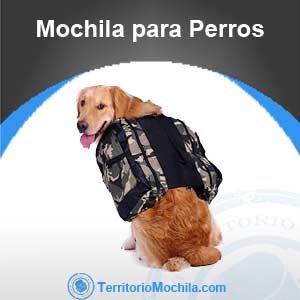 mejores mochilas para perros