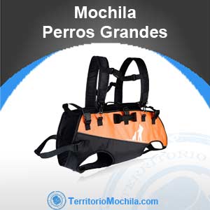 Mejores mochilas para perros grandes