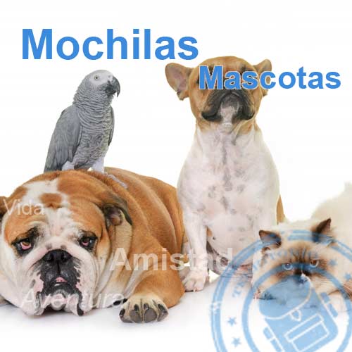 mochilas para mascotas