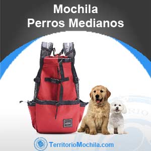 Mejores mochilas para perros medianos