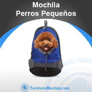 Mejores mochilas para perros pequeños