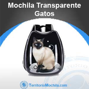 Mejores mochilas transparentes para gatos